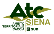 ATC Siena 8 Sud