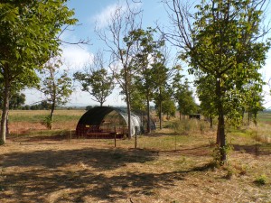 KODAK Digital Still Camera