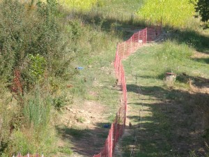 KODAK Digital Still Camera