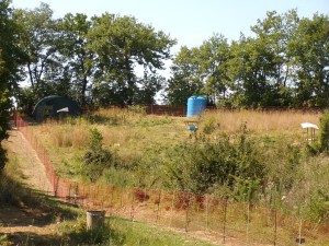 KODAK Digital Still Camera