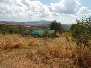 KODAK Digital Still Camera