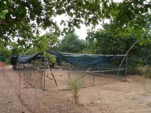 KODAK Digital Still Camera