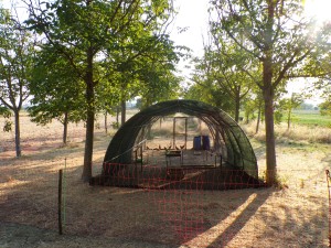 KODAK Digital Still Camera