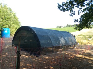 KODAK Digital Still Camera