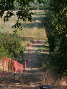 KODAK Digital Still Camera