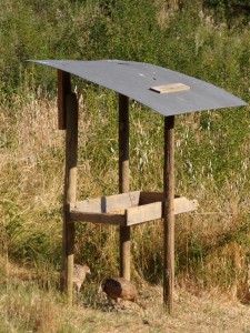 KODAK Digital Still Camera