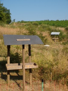 KODAK Digital Still Camera