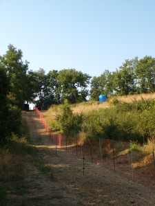 KODAK Digital Still Camera