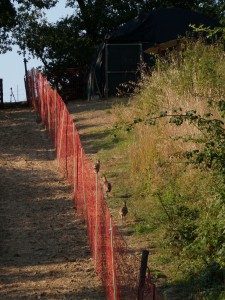 KODAK Digital Still Camera