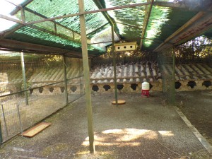 KODAK Digital Still Camera