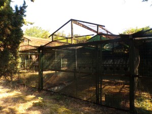 KODAK Digital Still Camera