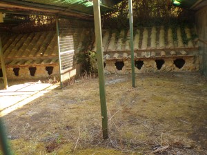 KODAK Digital Still Camera