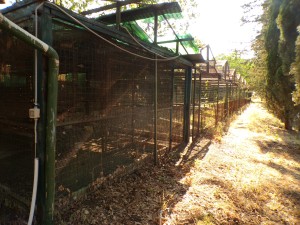 KODAK Digital Still Camera