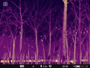 WhatsApp Image 2025-07-22 at 9.34.42 AM