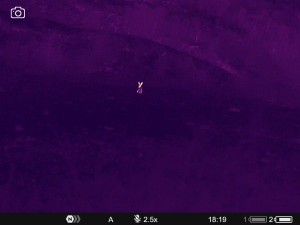 WhatsApp Image 2025-07-22 at 9.34.44 AM (1)