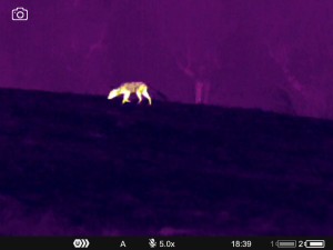 WhatsApp Image 2025-07-22 at 9.34.44 AM (2)