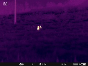 WhatsApp Image 2025-07-22 at 9.34.47 AM