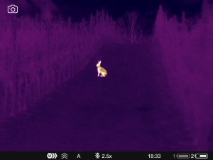 WhatsApp Image 2025-07-22 at 9.34.48 AM