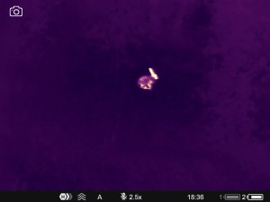 WhatsApp Image 2025-07-22 at 9.34.49 AM (1)