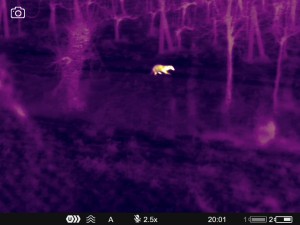 WhatsApp Image 2025-07-22 at 9.34.49 AM (2)