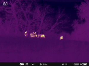 WhatsApp Image 2025-07-22 at 9.34.49 AM (3)