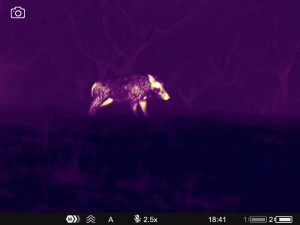 WhatsApp Image 2025-07-22 at 9.34.49 AM