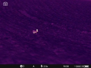 WhatsApp Image 2025-07-22 at 9.34.50 AM (2)