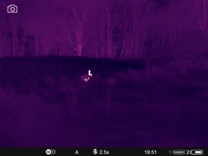 WhatsApp Image 2025-07-22 at 9.34.50 AM (3)