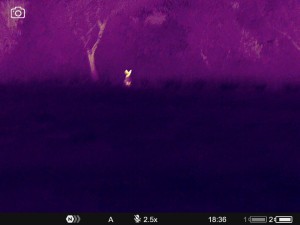 WhatsApp Image 2025-07-22 at 9.34.50 AM (4)