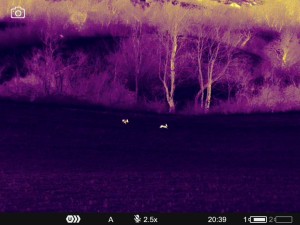 WhatsApp Image 2025-07-22 at 9.34.51 AM (2)