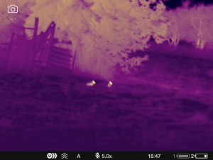 WhatsApp Image 2025-07-22 at 9.34.51 AM