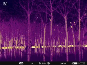 WhatsApp Image 2025-07-22 at 9.34.52 AM