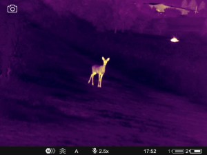 WhatsApp Image 2025-07-22 at 9.49.56 AM