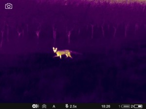 WhatsApp Image 2025-07-22 at 9.50.29 AM